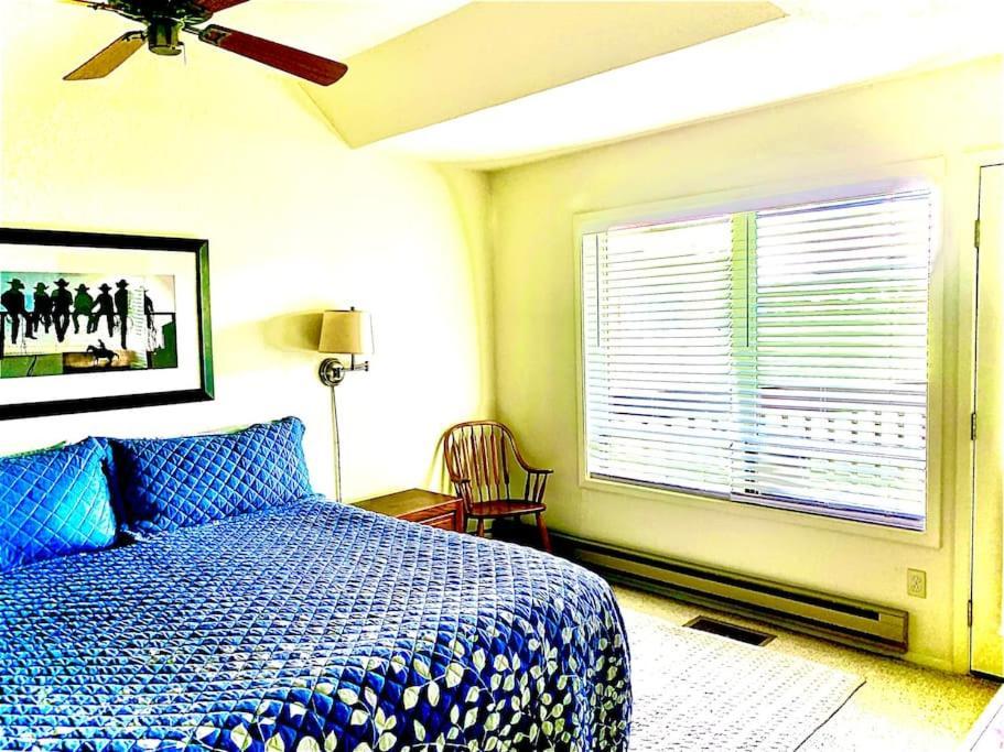 Talisman Amazing Views Walk To Uptown Sleeps 4 Vila Pagosa Springs Exterior foto